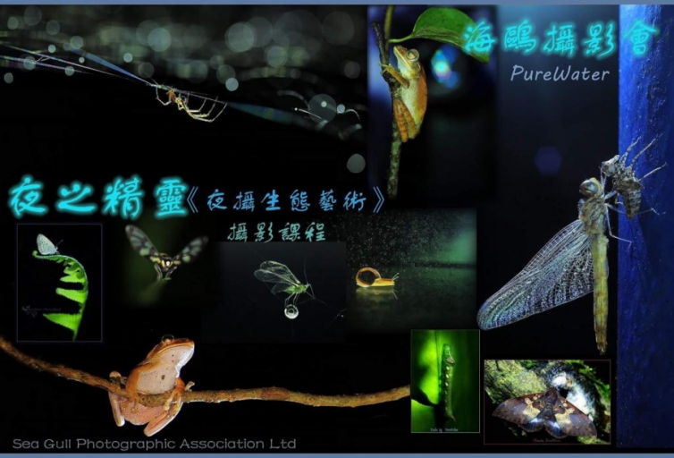 夜之精靈《夜攝生態藝術》攝影課程(名額20人)
